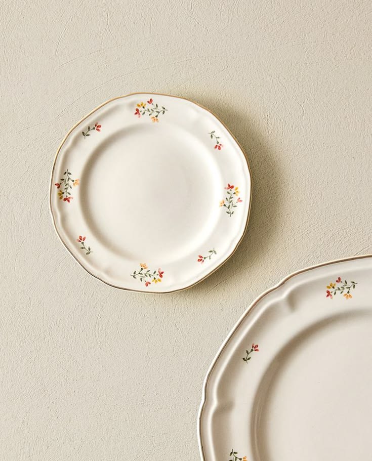 Dinner plates